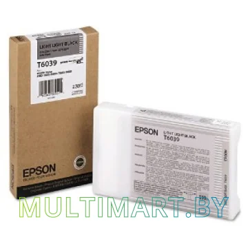 Картридж Epson C13T603900 картинка 3